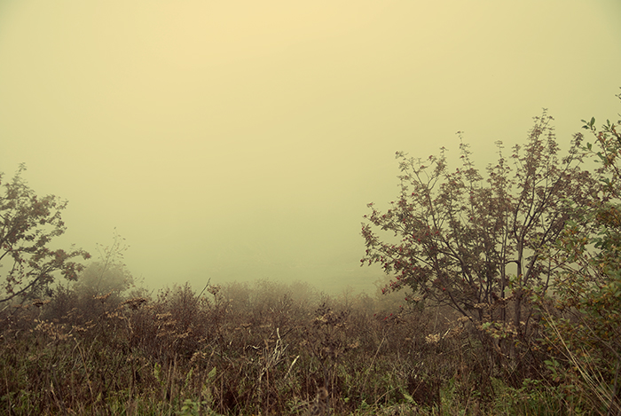 maria luisa calosso photography